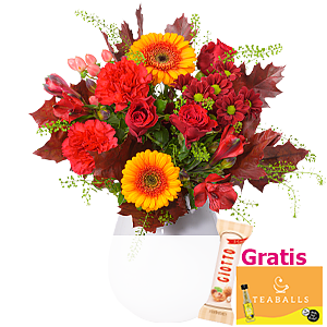 Blumenmix <br>Herbsttraum