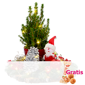 Arrangement <br>Nikolaus