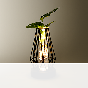Waterplant Monstera <br>im Metallgefäß
