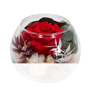 Rote haltbare <br>Rose im Glas