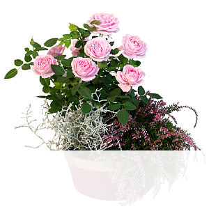 Herbstmärchen <br>im Körbchen