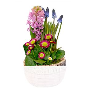 Frühlingsfarben <br>im Korb
