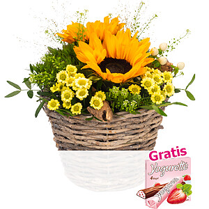 Arrangement <br>Sonnenbeet