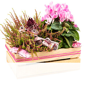 Arrangement Pretty in Pink