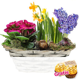 Bunter Frühlings-<br>korb
