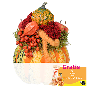 Arrangement <br>Pumpkin Dream