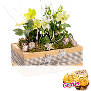 Arrangement <br>Schneetraum