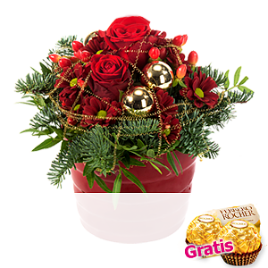 Roter Weihnachts-<br>traum
