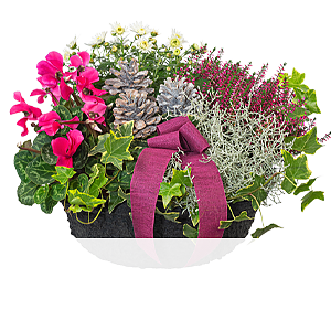 Arrangement <br>Herbstmix