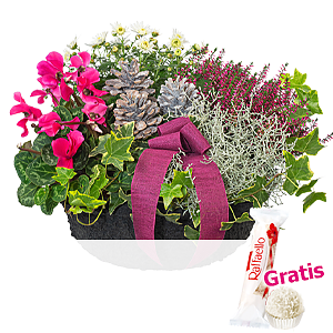Arrangement Herbst-<br>mischung