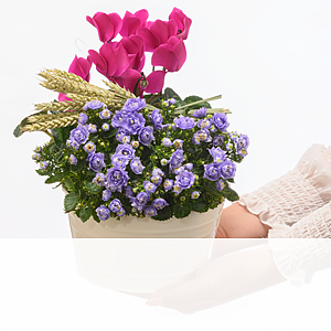 Arrangement <br>Gartenglück