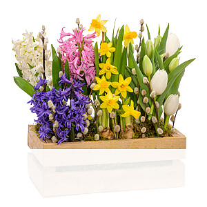 Bunte Mischung <br>im Kasten