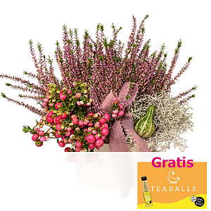Arrangement <br>Gartenzauber