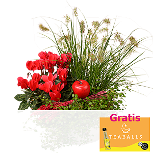 Arrangement <br>Gartentraum