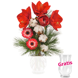 Arrangement <br>Amarylliszauber