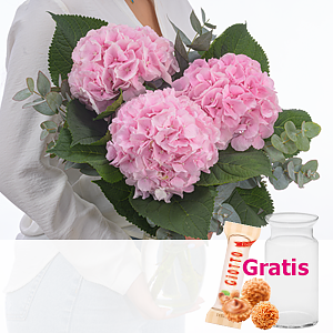 Rosa Hortensien <br>mit Eukalyptus