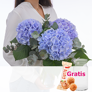 Blaue Hortensien <br>mit Eukalyptus