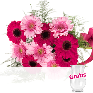 Strauß Germini-<br>traum