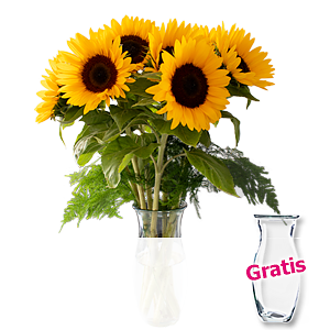 7 Sonnenblumen <br>im Bund