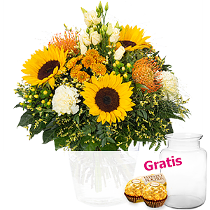 Premium Lebens-<br>freude