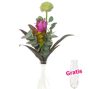 Strauß Tropical <br>Dream